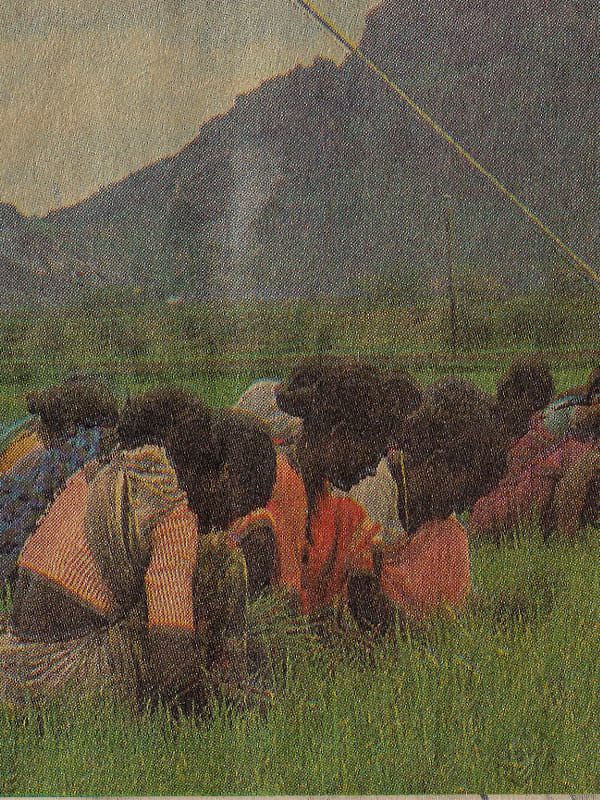 Nanchinad Kerala